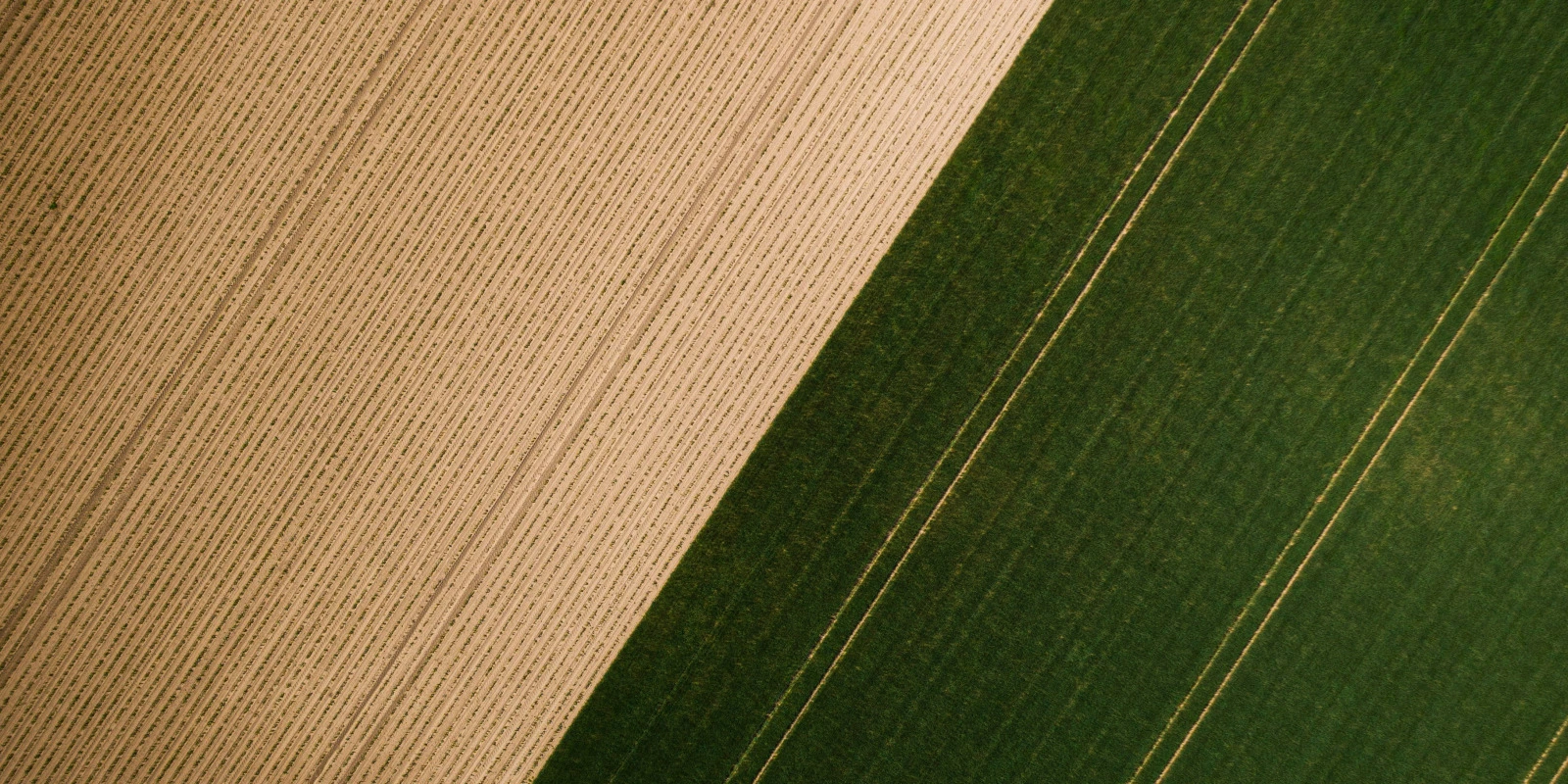 Exemple de Lettre de Motivation pour BUT Informatique