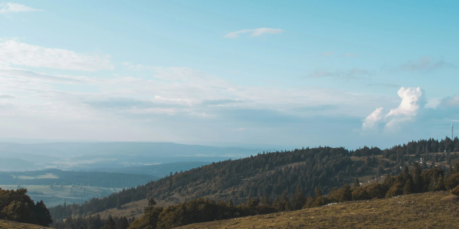 Formation en BUT Info (Informatique): Avantages