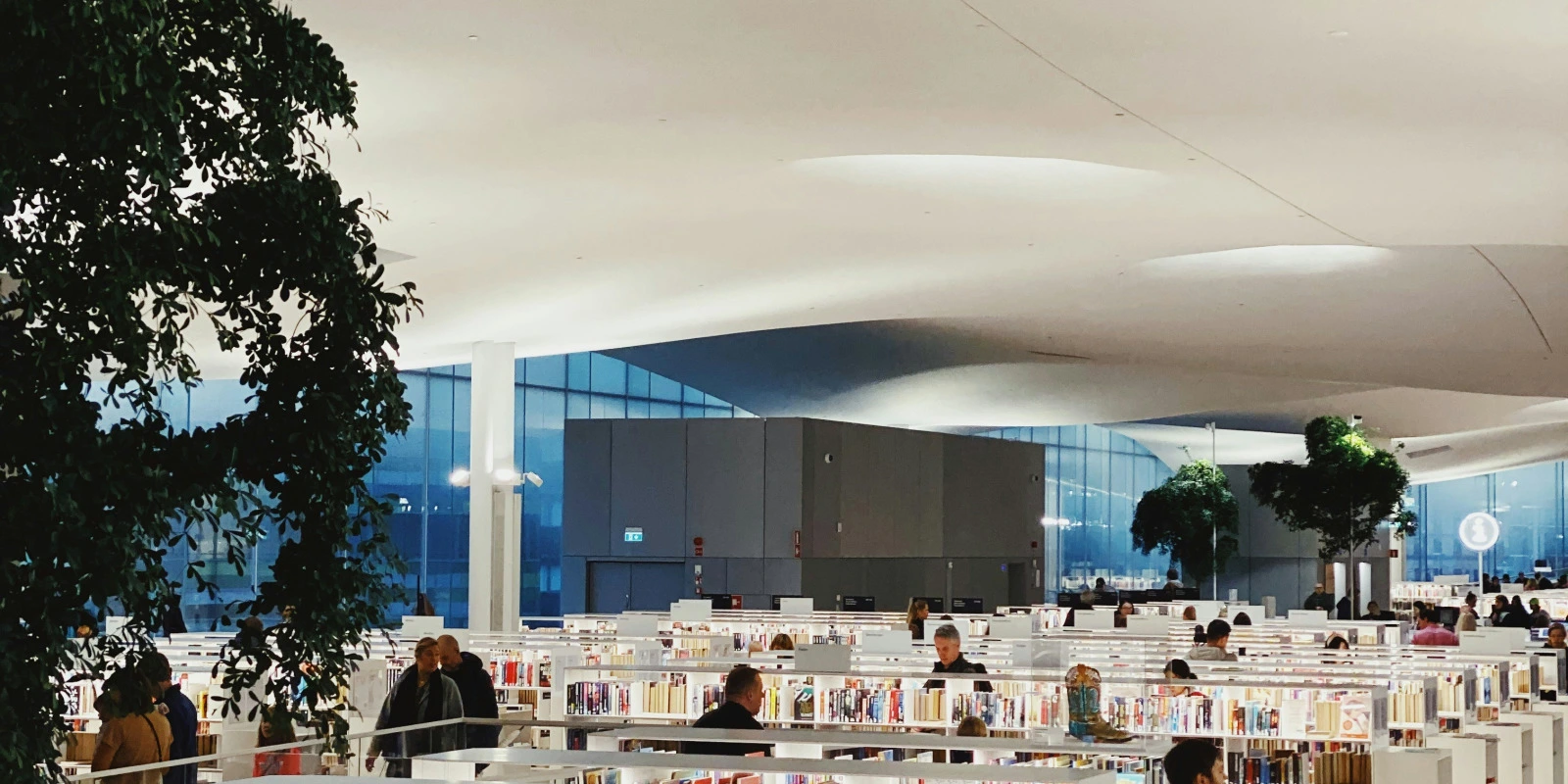 Informatique à Grenoble: Formations en IUT