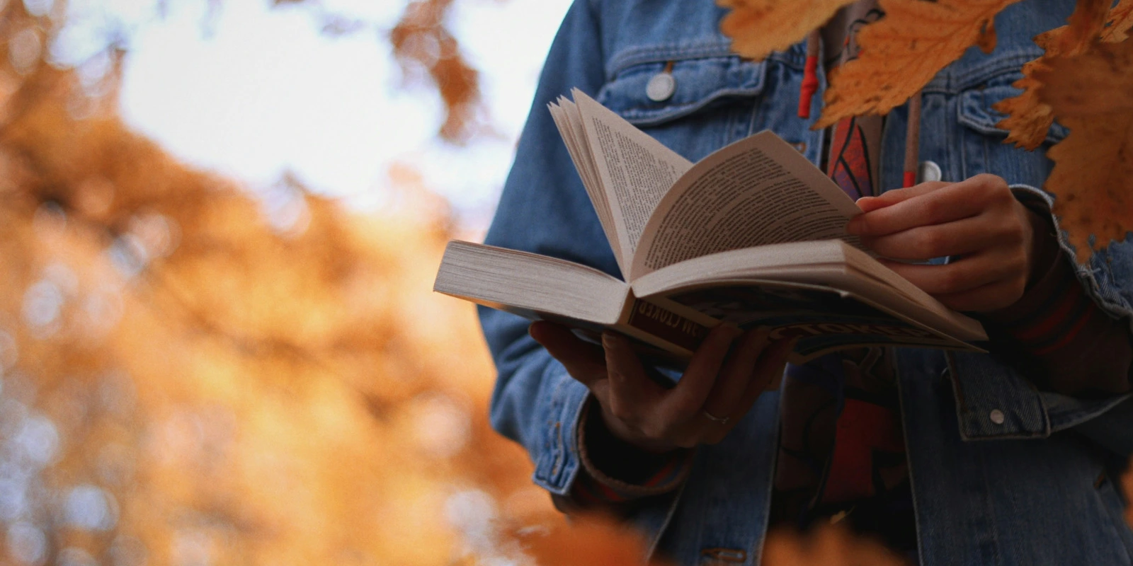 Informatique à La Rochelle: Programmes et Débouchés