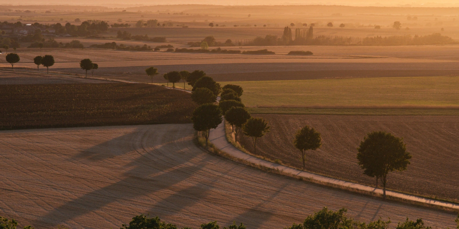 IUT Paul Sabatier Castres: Informatique et Cours