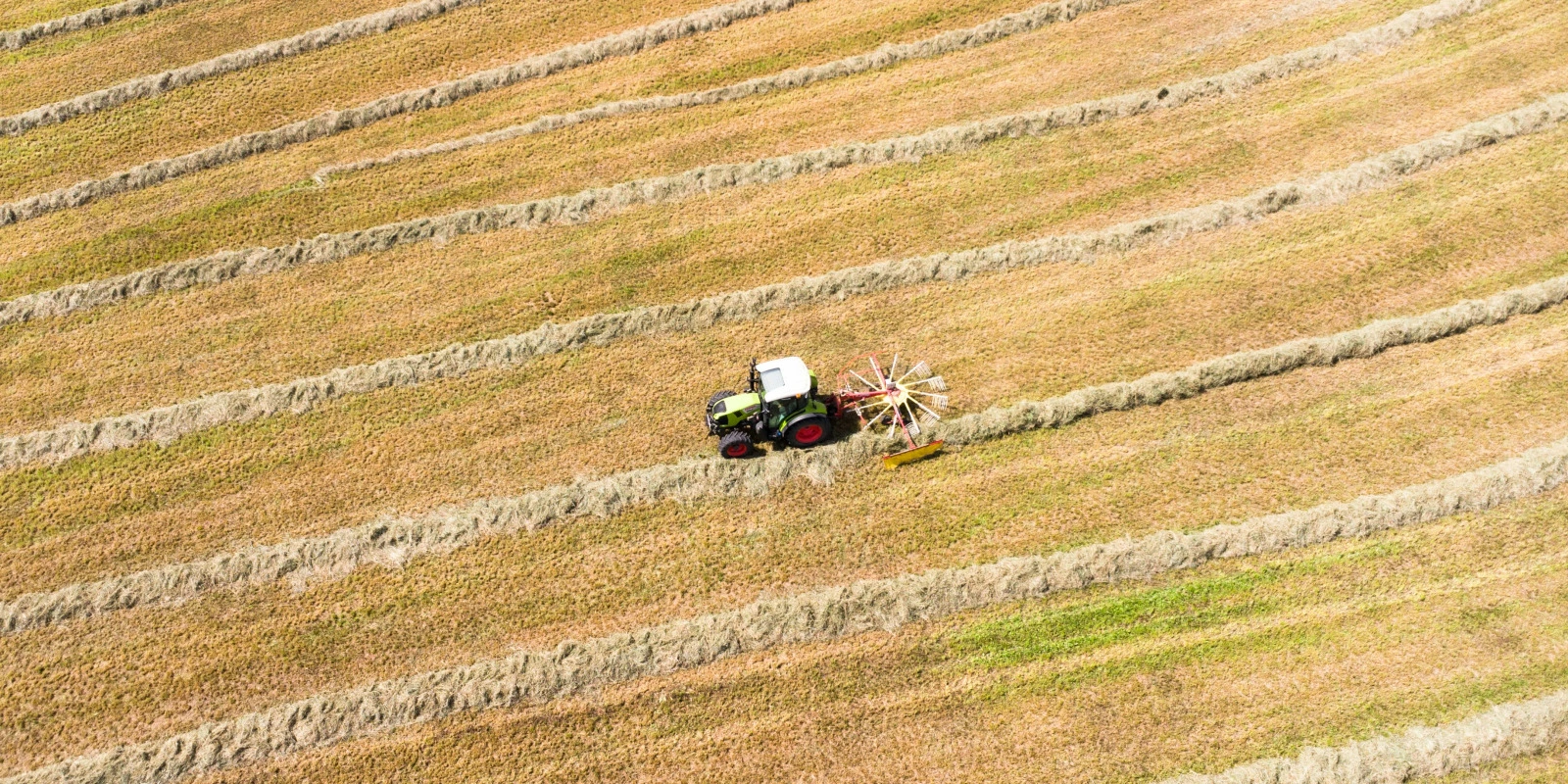 IUT Robert Schuman Illkirch: Informatique et Portes Ouvertes